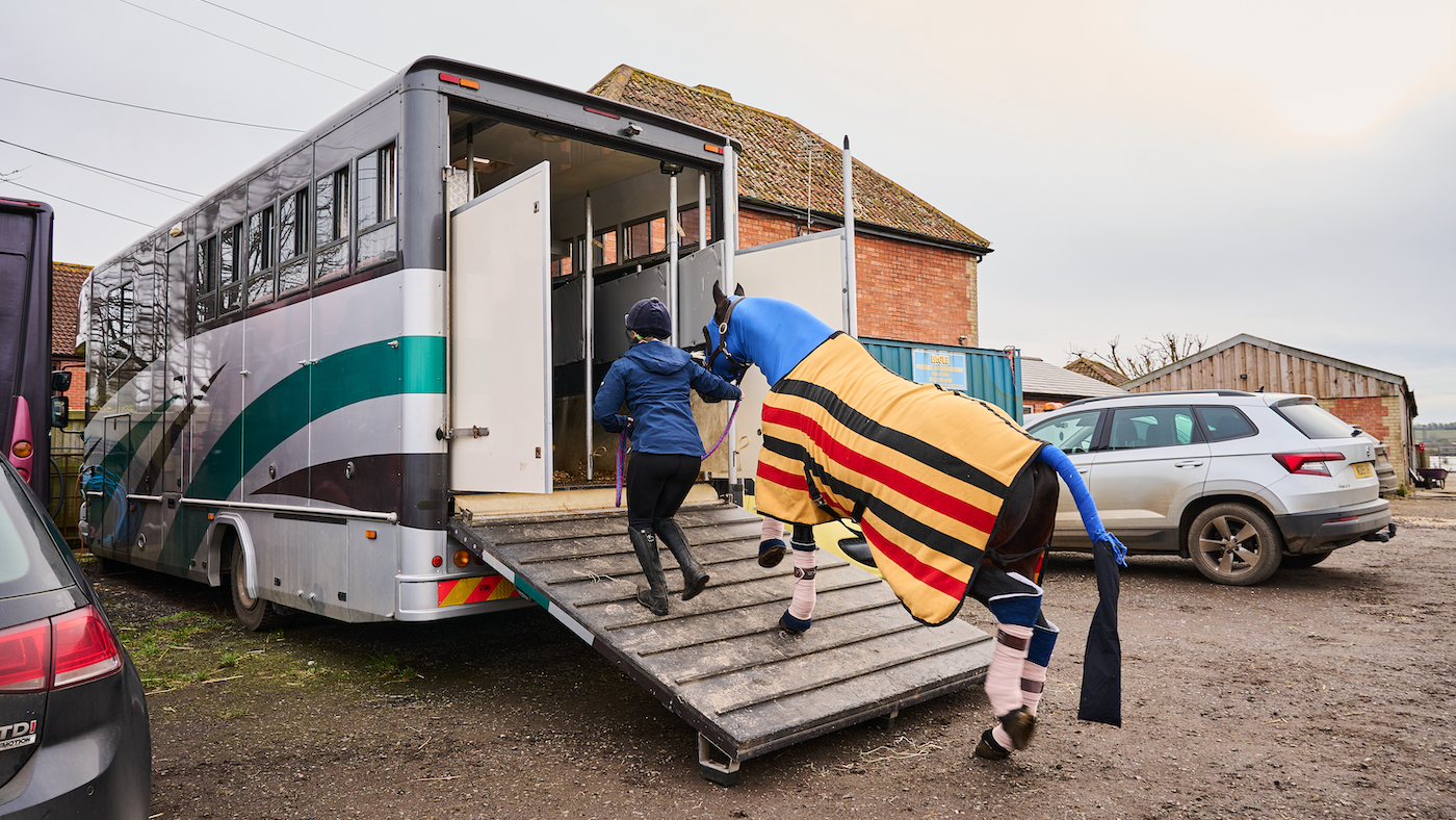 Preparing horse for the show ring by travelling to new venues