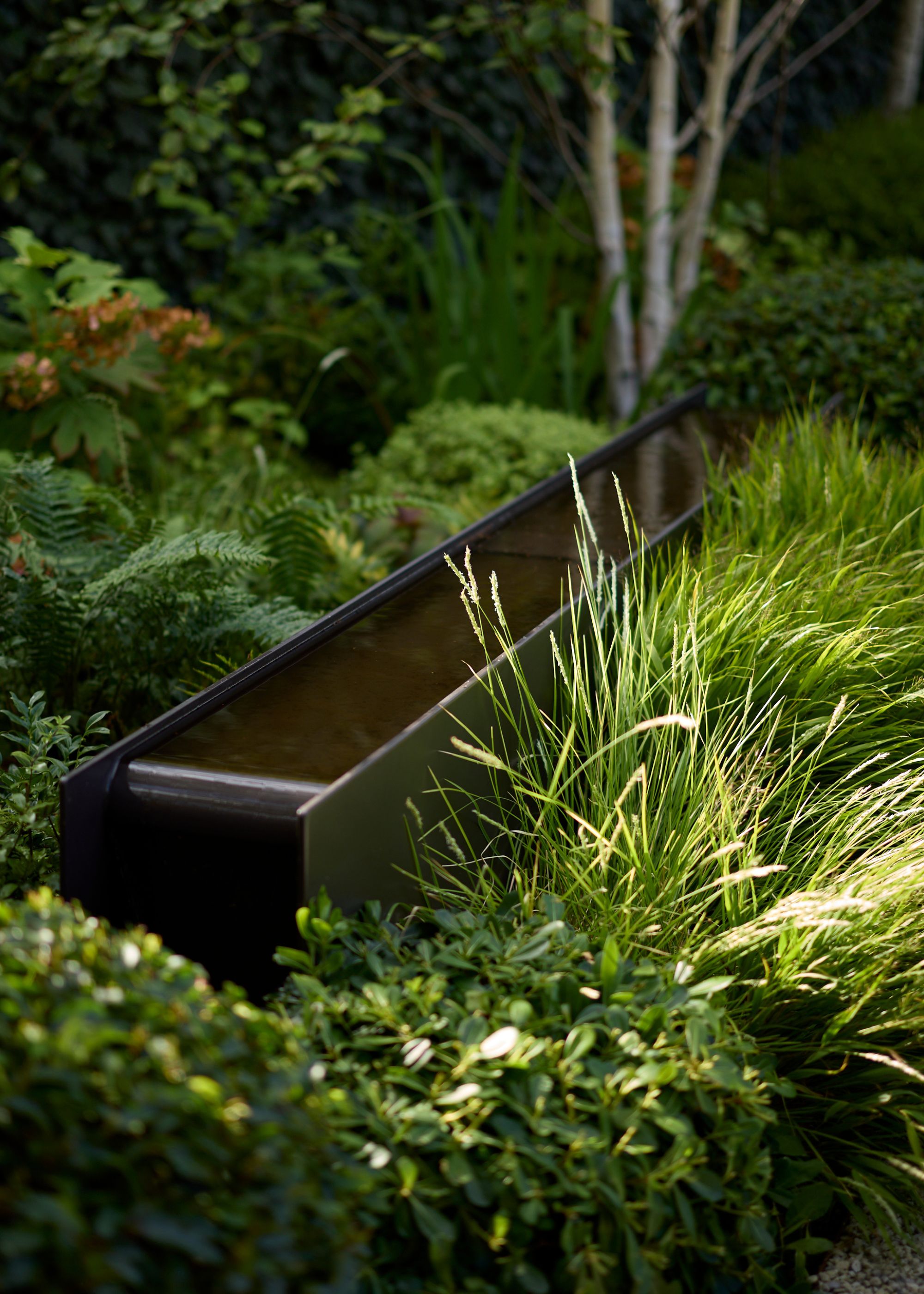 A trough-like black water feature in a garden