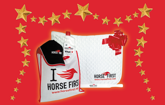 HorseFirst-pic