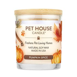 Pet House Candle pumpkin spice candle
