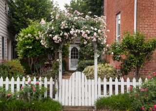 garden gate ideas: white gate with flowers arching over the top