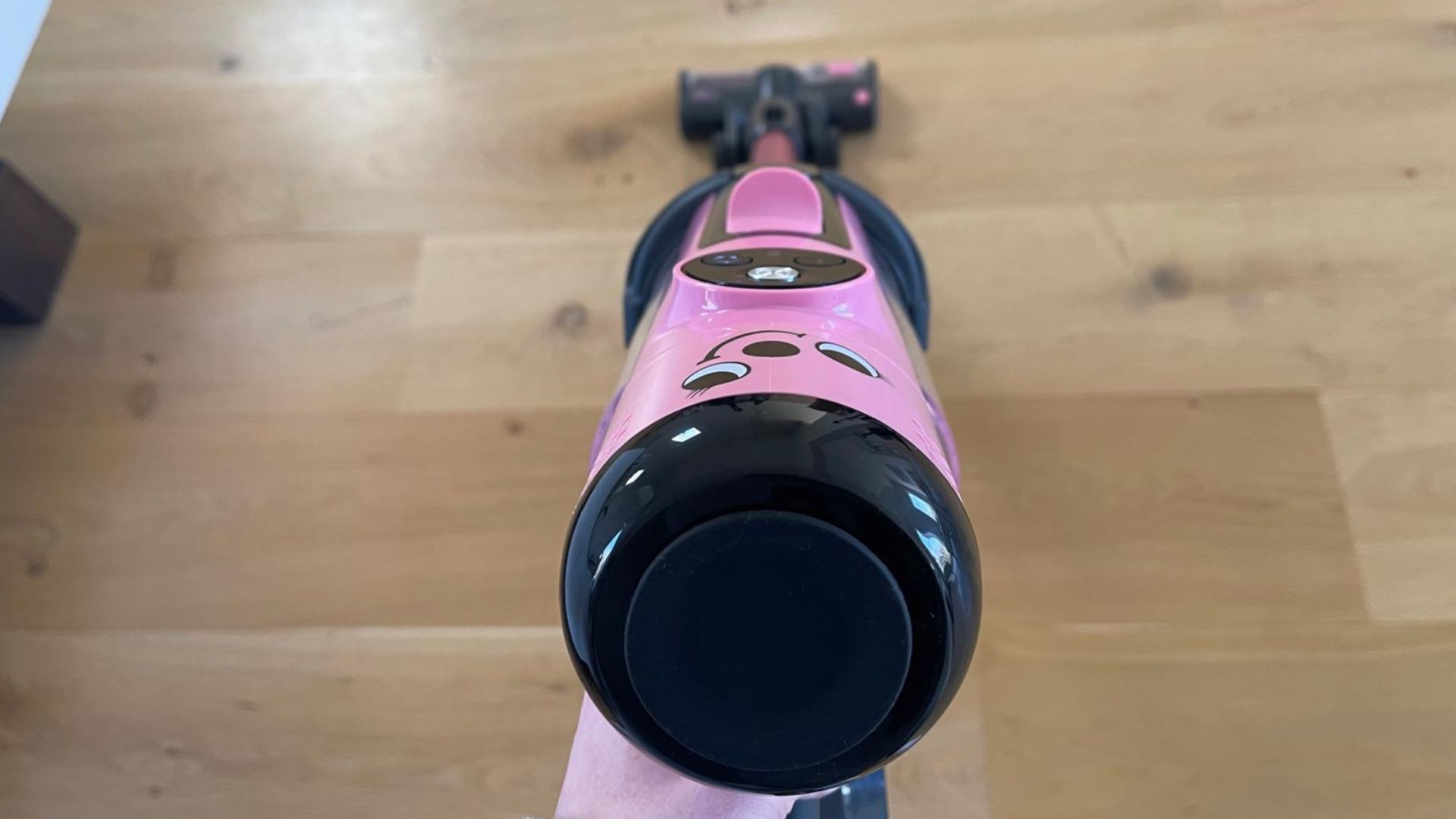 Hetty Quick Cordless Vacuum being tested in my home