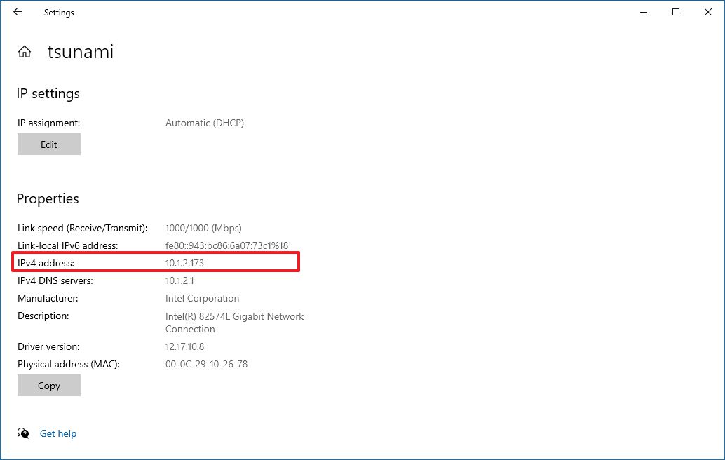 Windows 10 IPv4 address