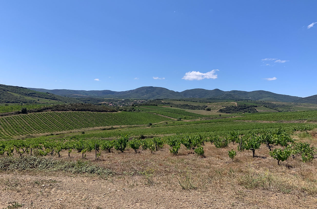 Faug&amp;egrave;res latest releases