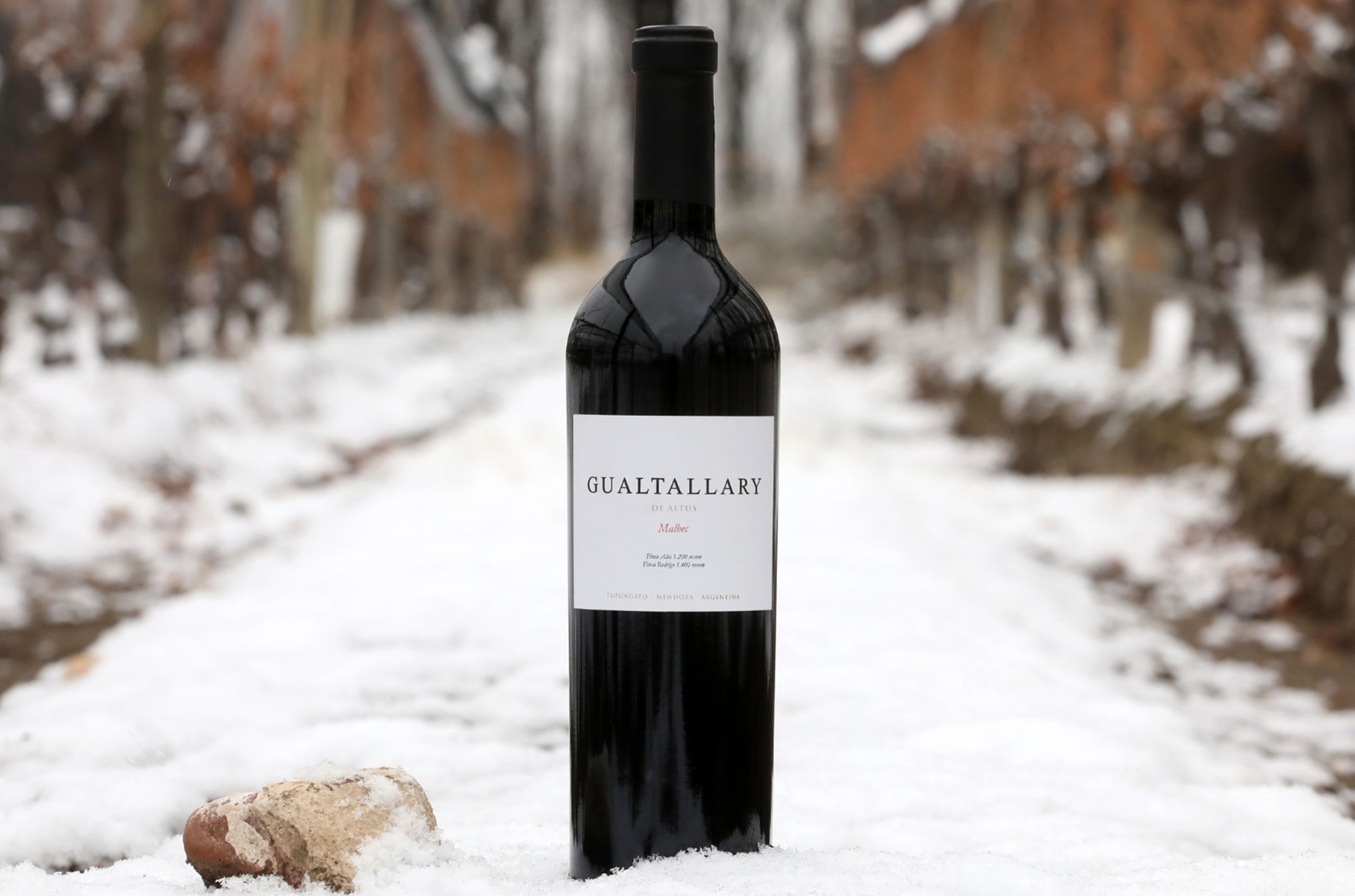 A bottle of Gualtallary Wines Malbec in the snow.