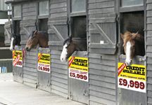 forsale-hr.jpg