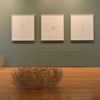 From here curator Allegra Pesenti drew in depictions of weeds in different media by other contemporary artists