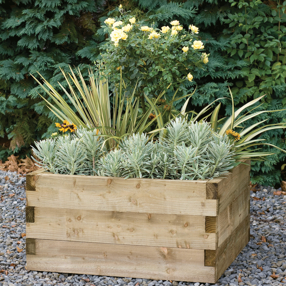 garden area with herbs and flowers in wooden box