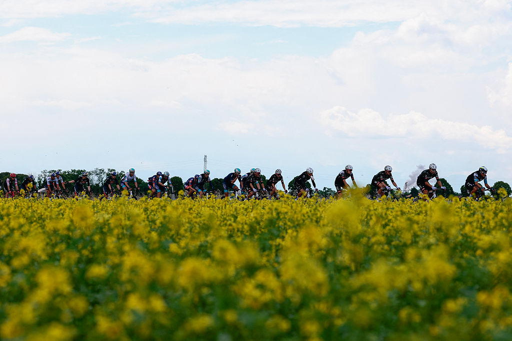 The pack rides during the 14th stage of the 108th Giro d'Italia cycling race of 195kms from Treviso in Italy to Nova Gorica in Slovenia on May 24, 2025. (Photo by Luca Bettini / AFP)
