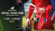 IVHS-Show-real-21-copy.jpg