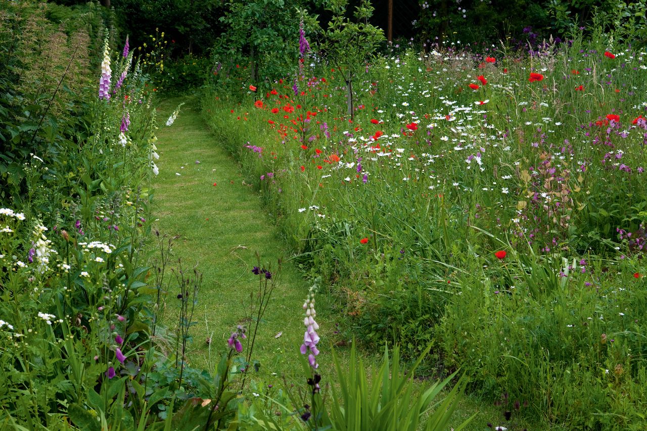 How to design a garden path – expert advice on creating the perfect ...