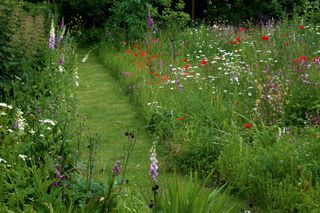 Mown grass path through swathes of planting