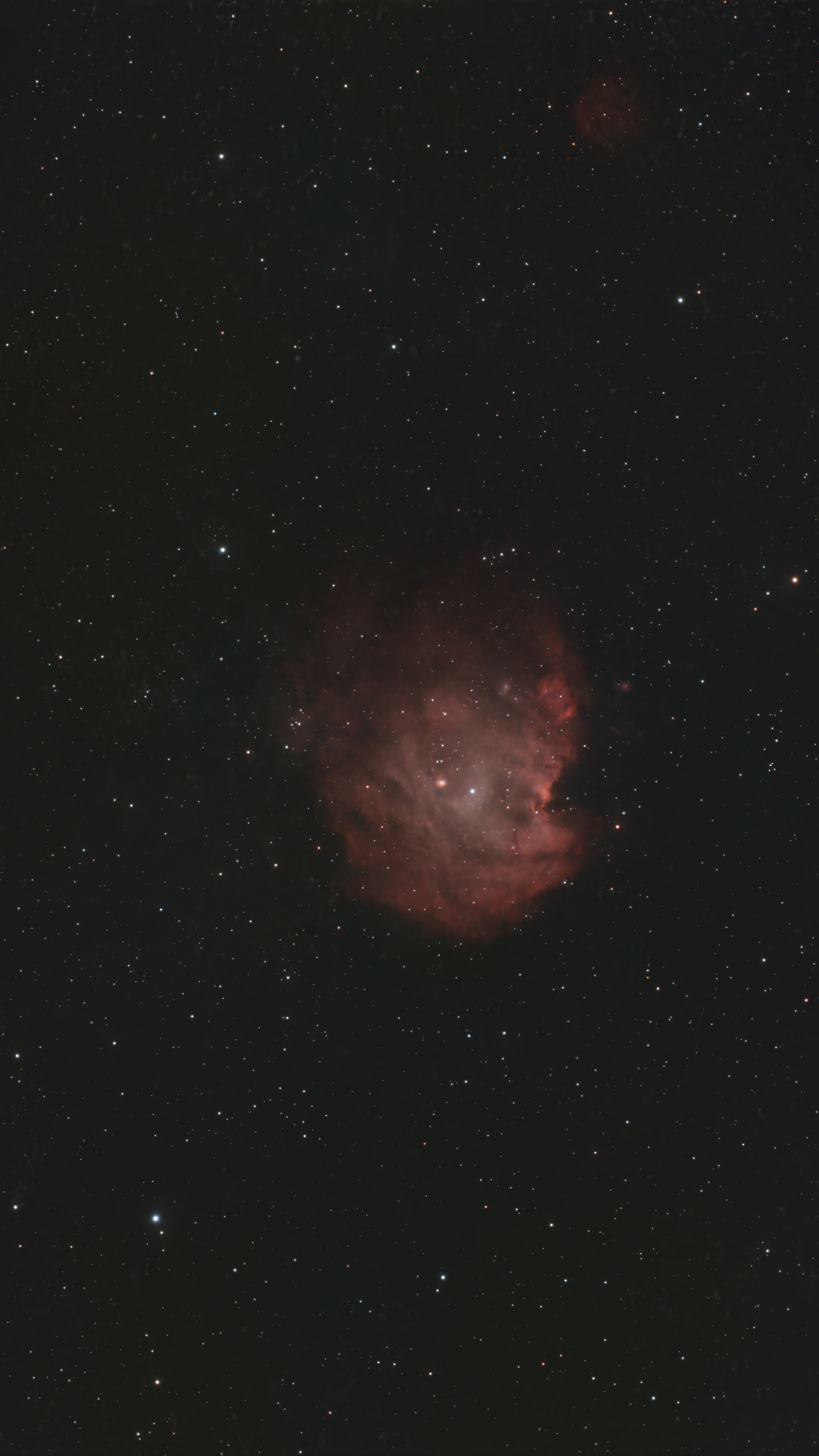 Monkey's Head Nebula, NGC 2174, shot with the ZWO Seestar S30 Pro smart telescope and processed using Siril and Pixinsight