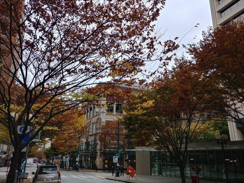 LG V20 camera sample