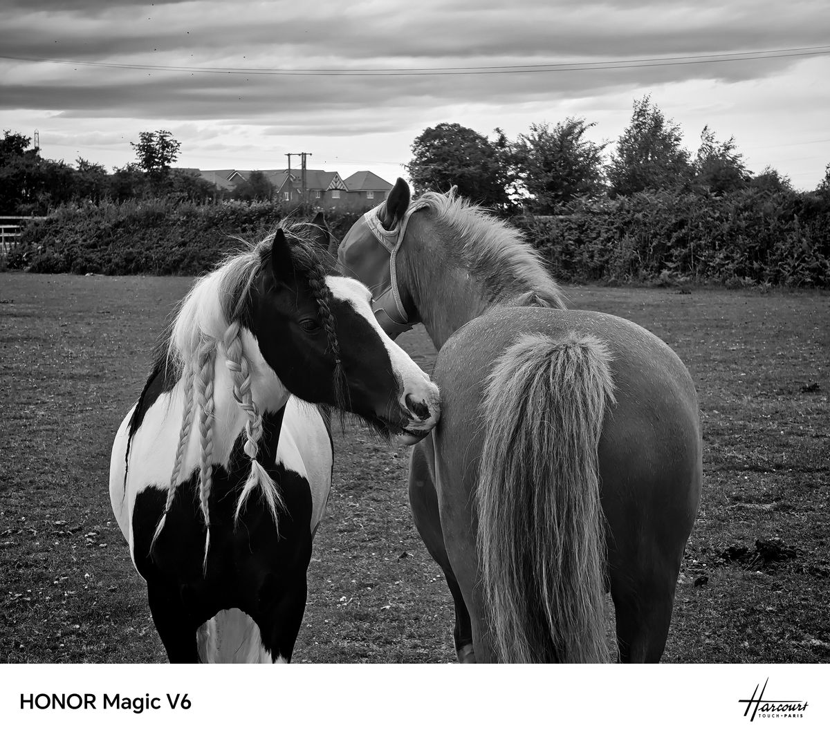 Oppo Magic V6 sample images