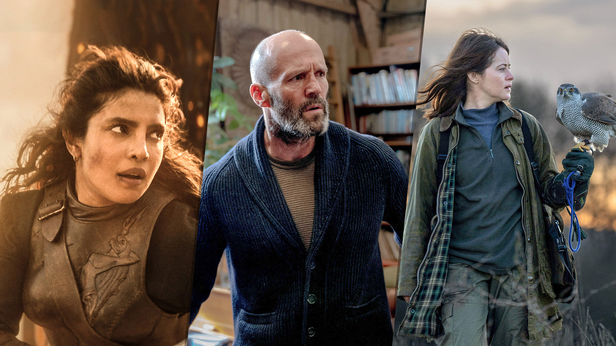 The Bluff, Shelter and H is for Hawk