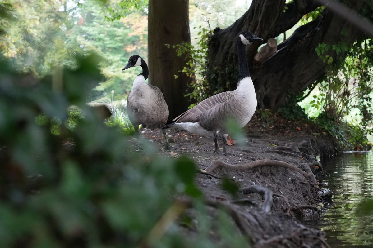Sample photo taken in London on the Sony A7 IV camera