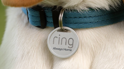 Ring Pet Tag