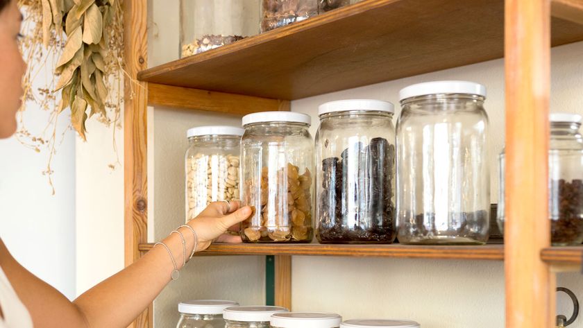 Glass jars on plywood pantry shelves