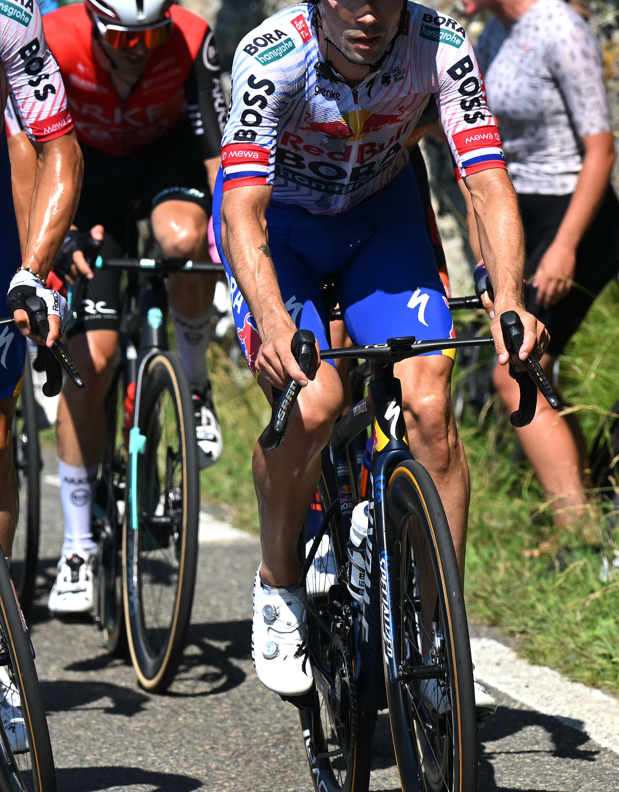 Roglic