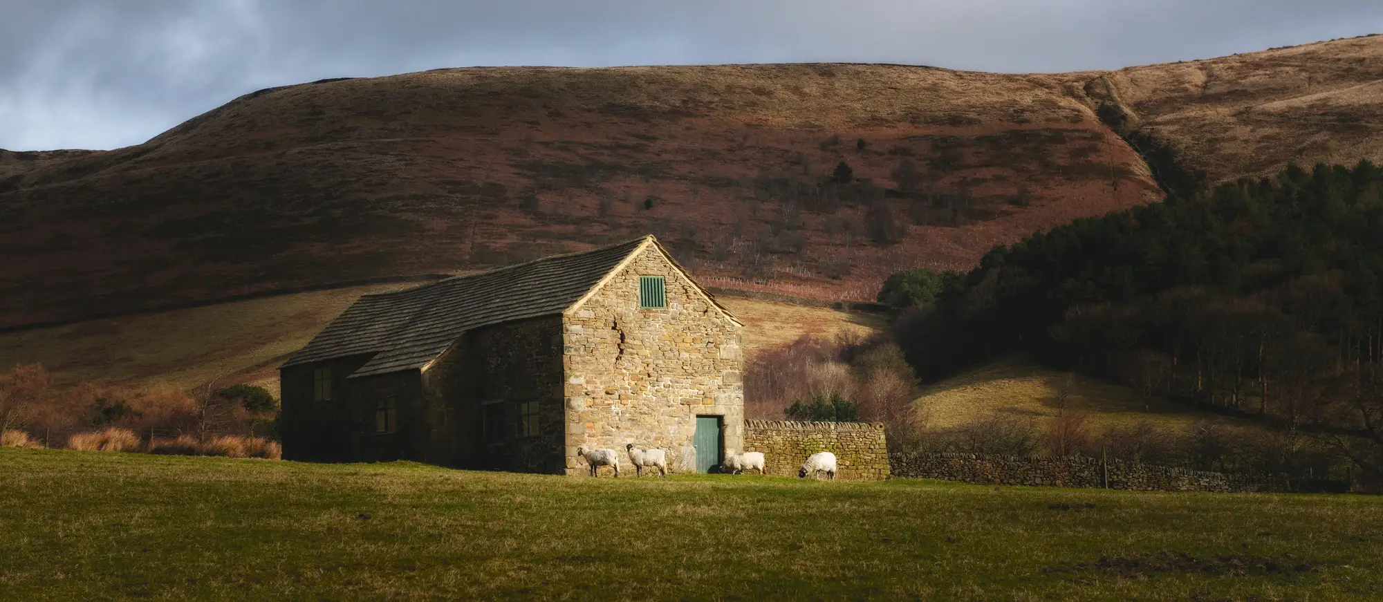 A traditional stone barn in the Peak District countryside on a sunny winters morning, with sheep grazing in front and hills in the background.