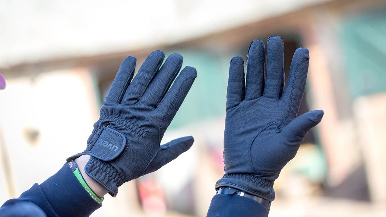Uvex Sportstyle winter gloves
