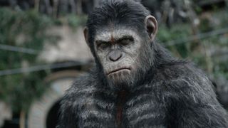 Still from Dawn Of The Planet Of The Apes