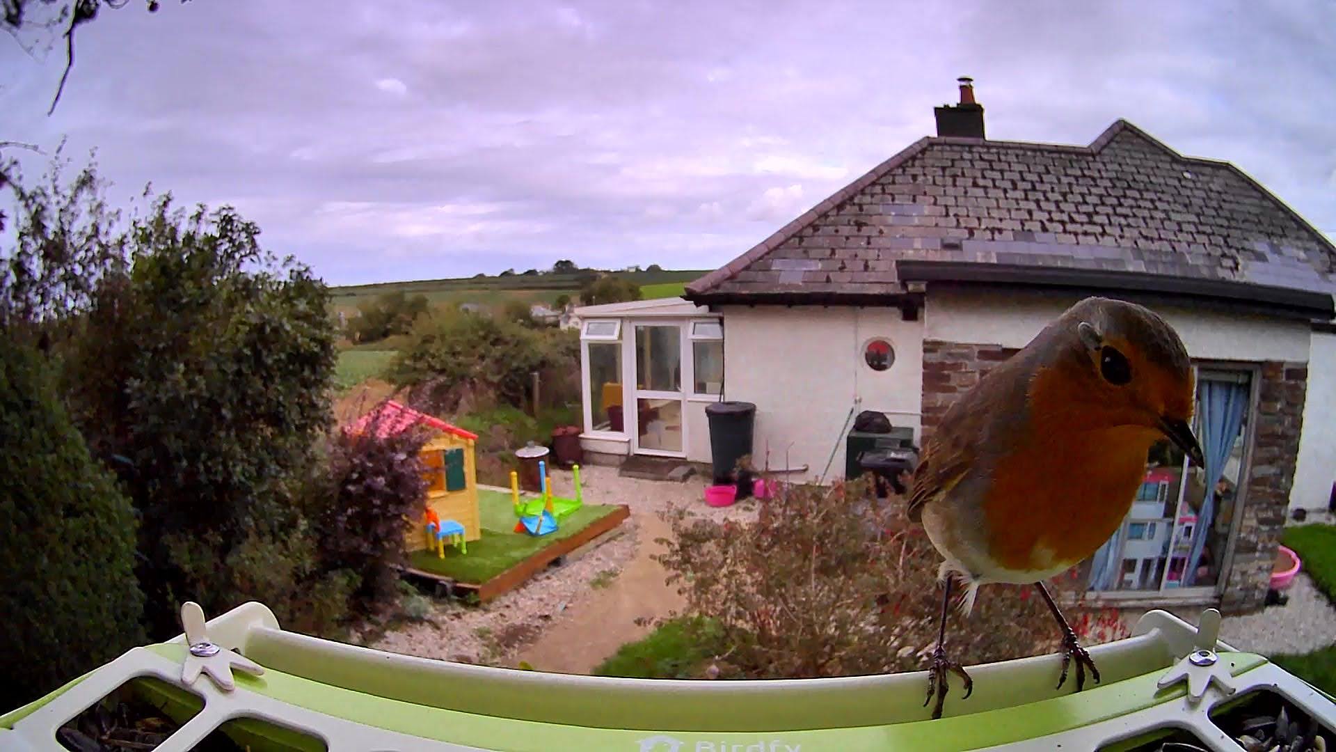 Birdfy Feeder Metal samples