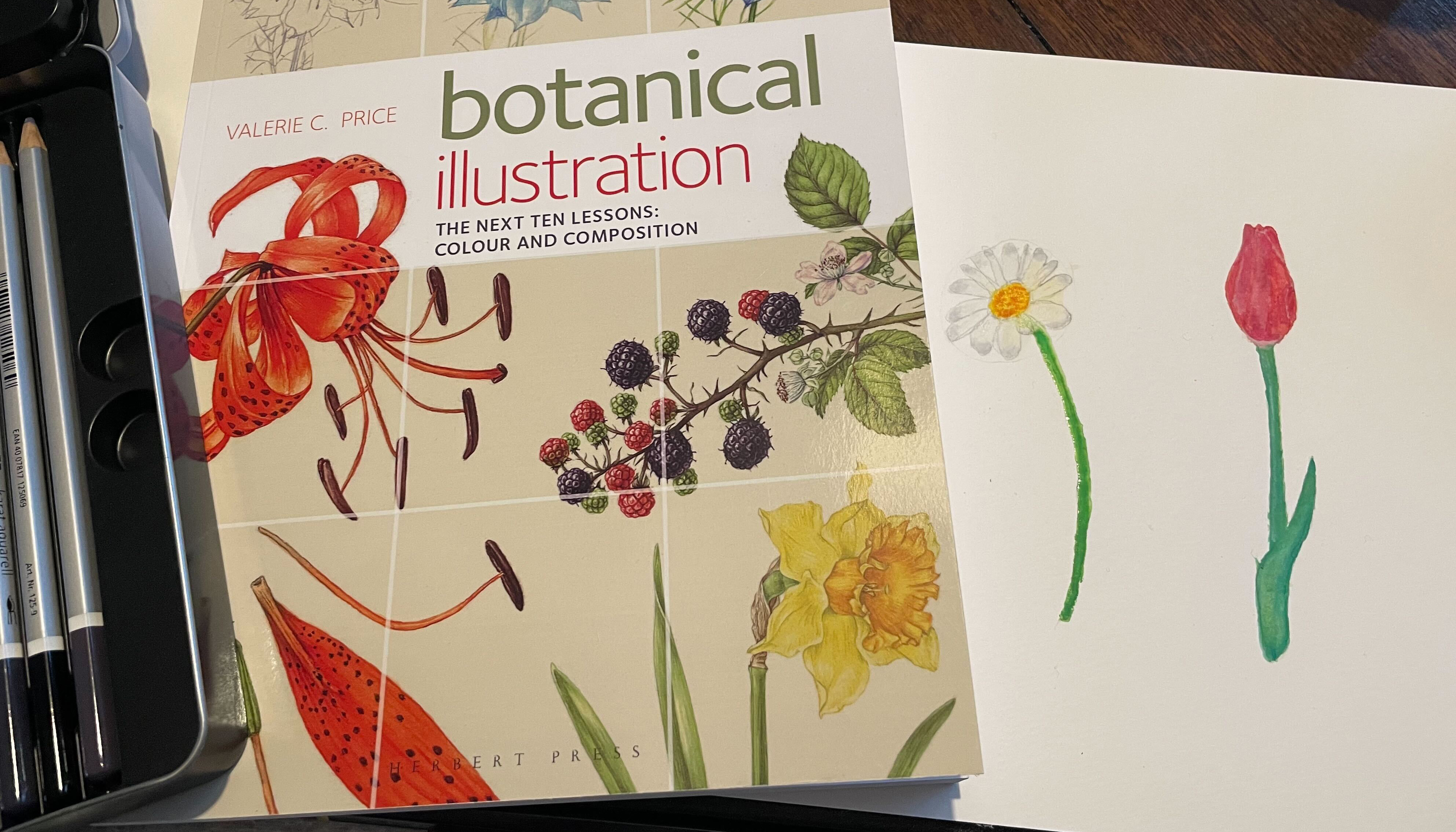 botanical illustration book next to two drawings of flowers