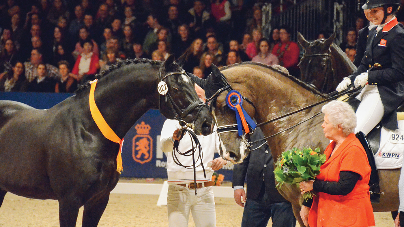 HAH301.legends_valegro.negro_valegro_ti_archive ee1da60b85d0459b