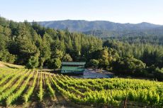 Santa Cruz Mountains AVA - Big Basin Vineyard