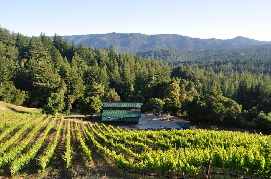 Santa Cruz Mountains AVA - Big Basin Vineyard