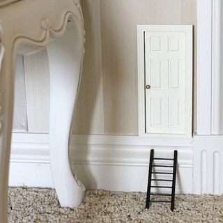 small satin white door and ladder