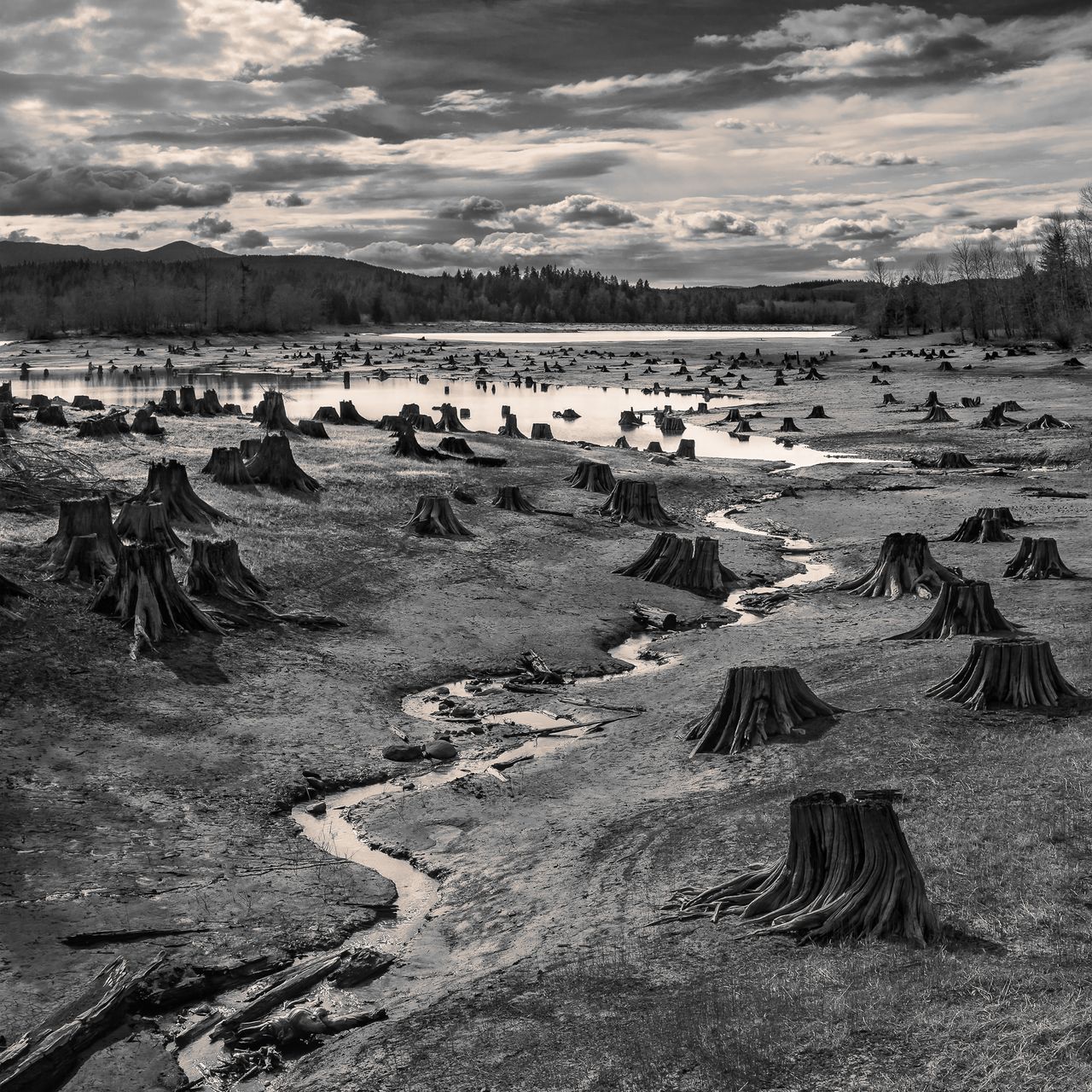 Image Credit: Hal Gage, United States, Winner, Open competition, Landscape, 2019 Sony World Photography Awards