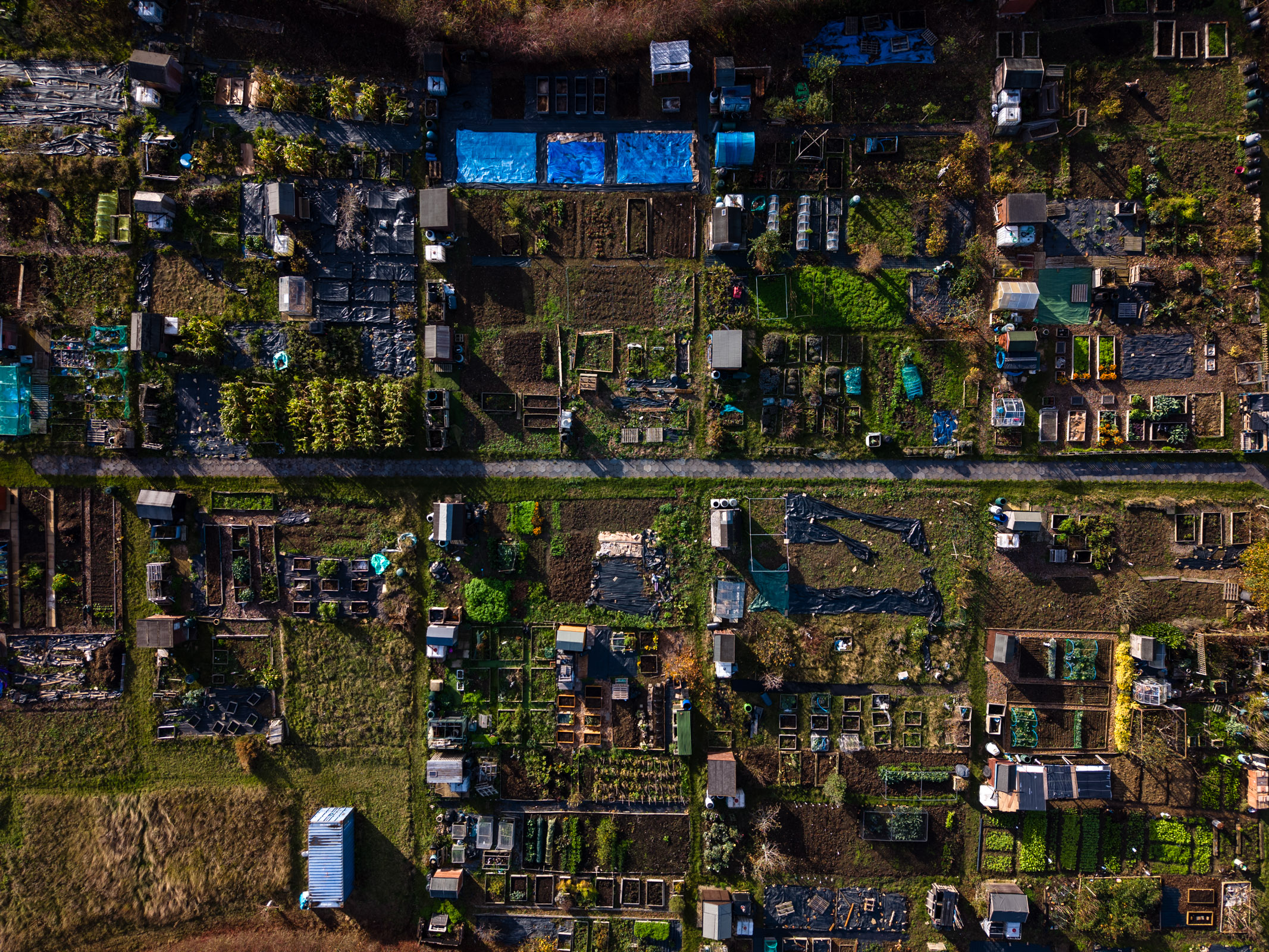 Photo of an allotment taken with the DJI Mini 5 Pro drone