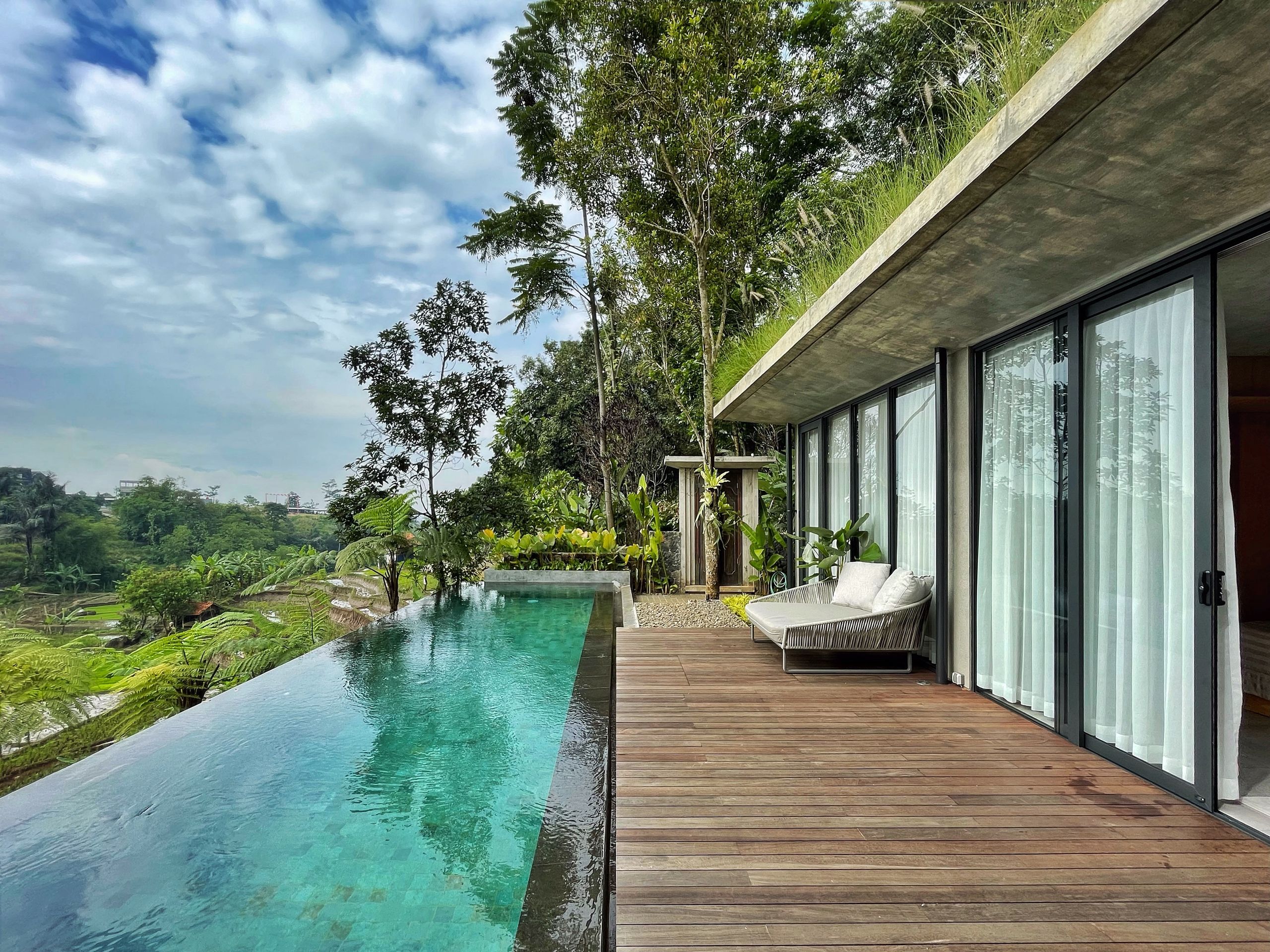How to make your deck look tropical – 7 expert tricks to try | Livingetc