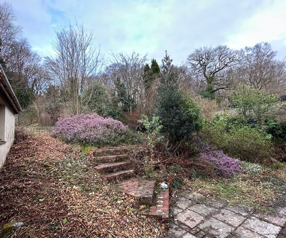 A garden with steps and overgrown plants