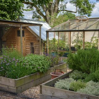 garden area with flower plants and compost heap