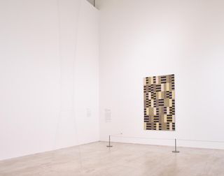 Installation view with Horse-hair