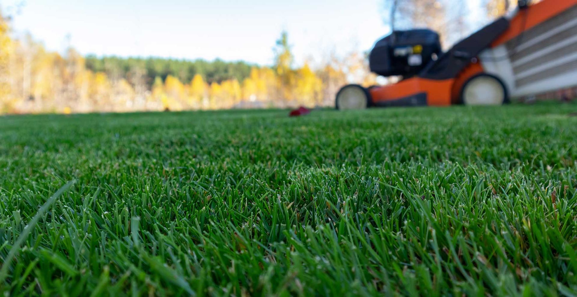 lawn mower cutting an autumn lawn to suggest when you should stop cutting grass ahead of winter