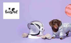 pooch and mutt logo placed over an image of a sausage dog in a astronaut outfit with purple background