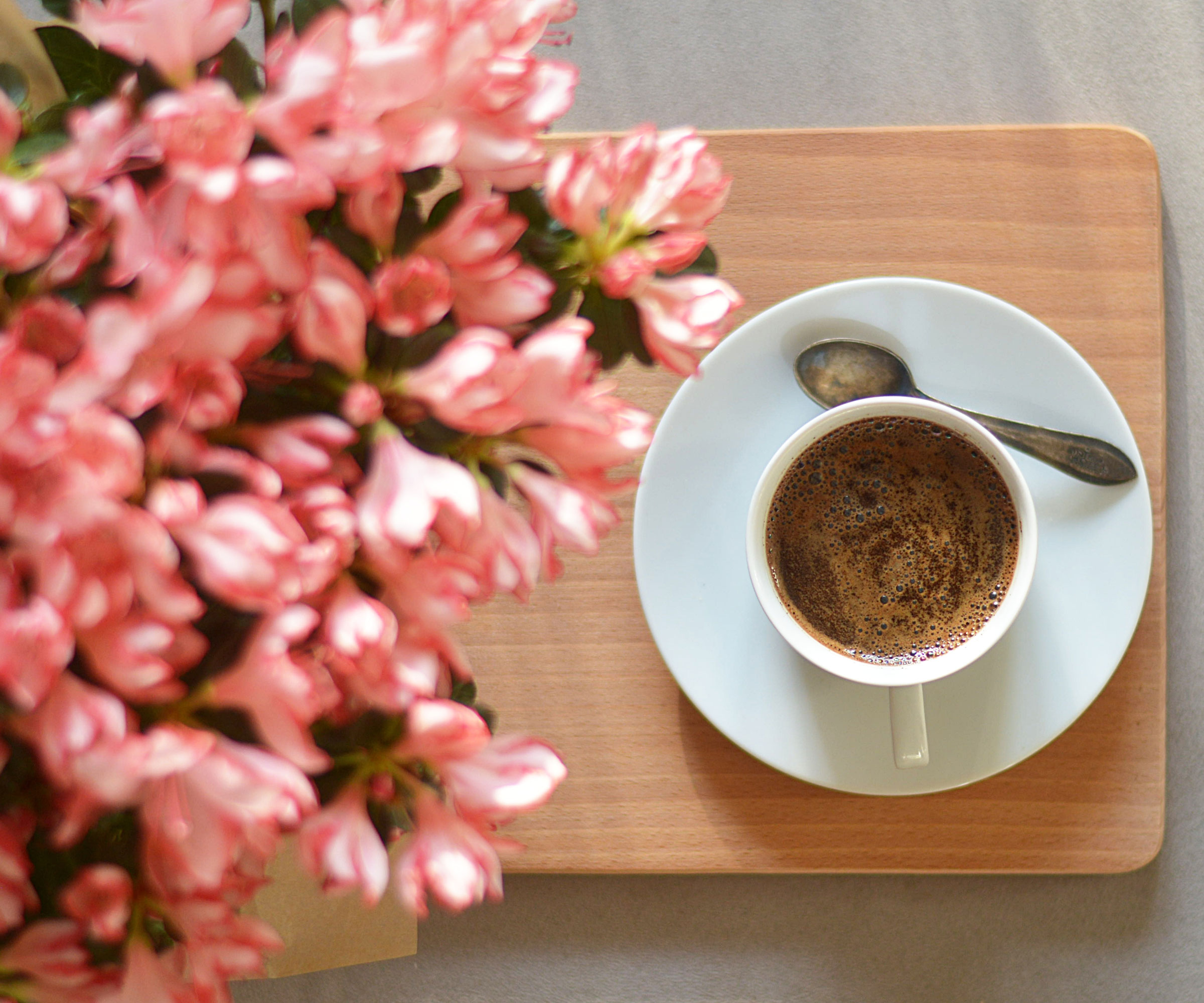 azalea flowers and cup of coffee