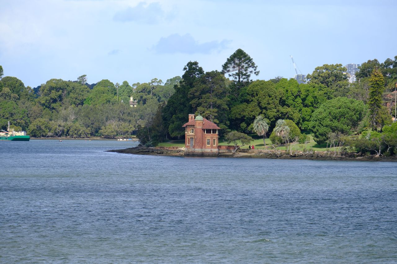 A small boathouse on the banks of a river in Vivid Film S