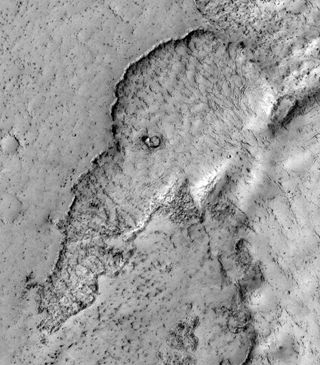 Elephant Shape on Mars