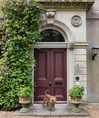 Front door painted in Soumak by Paper & Paint Library