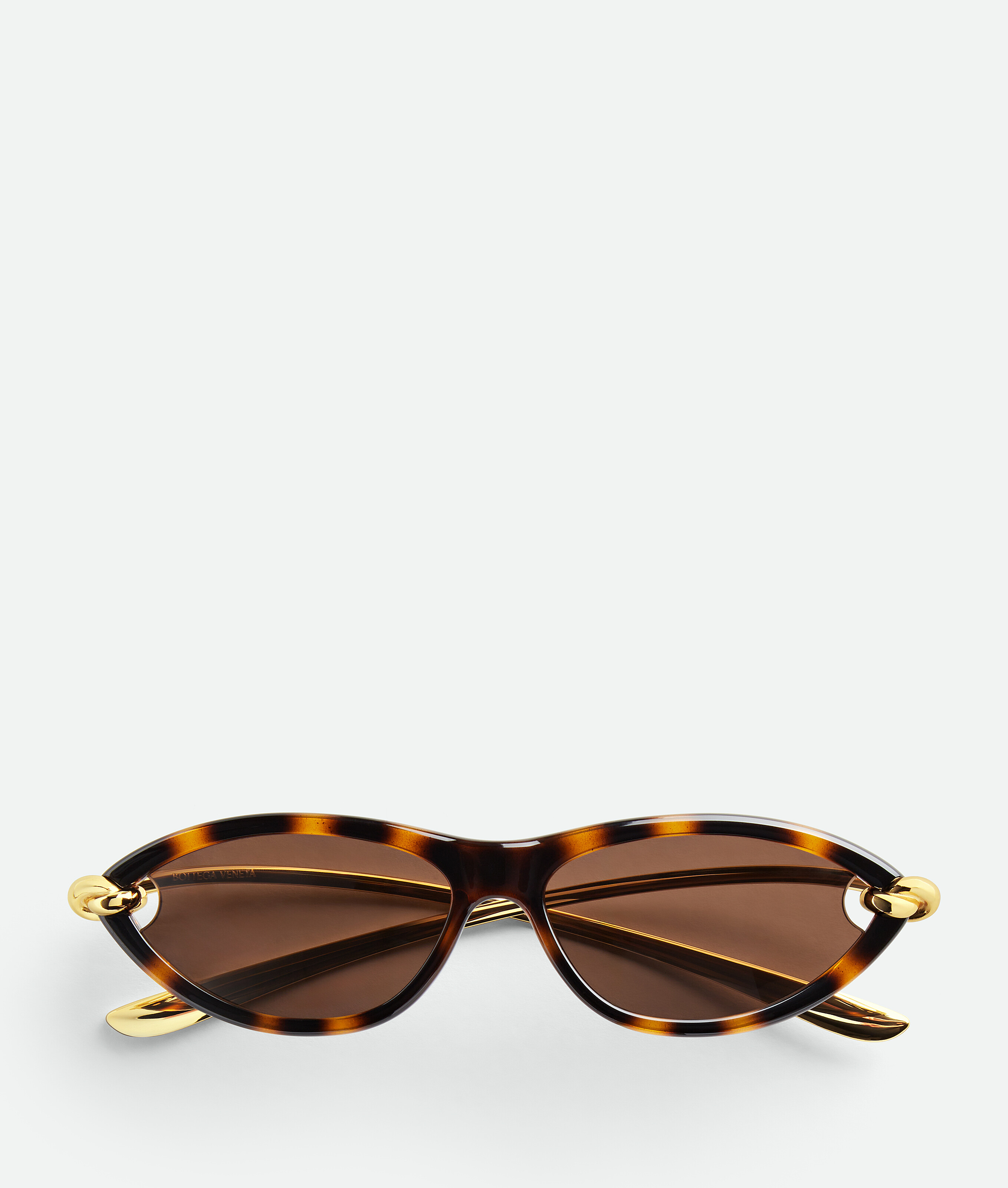 Knot Cat Eye Sunglasses in Havana/gold/brown