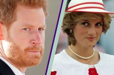Prince Harry and Princess Diana side by side, Prince Harry Kigali Genocide Memorial 