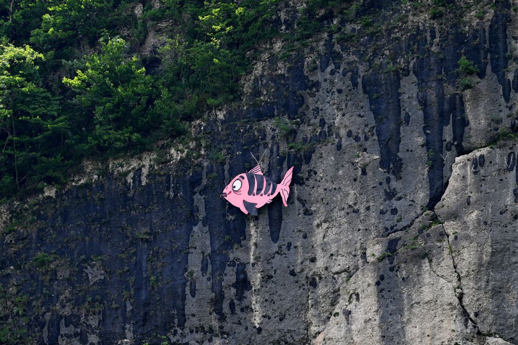 SAPPADA ITALY MAY 24 A pink fish during the 107th Giro dItalia 2024 Stage 19 a 157km stage from Mortegliano to Sappada 1236m UCIWT on May 24 2024 in Sappada Italy Photo by Dario BelingheriGetty Images