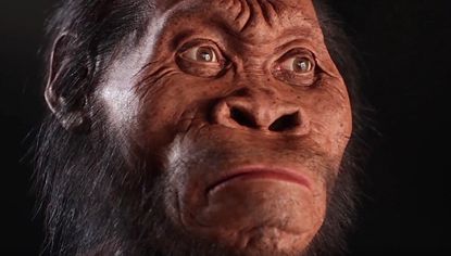 Meet homo naledi, the newest member of the human family tree