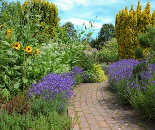 Flowers growing along a brick path